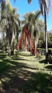 Fazenda / Sítio / Chácara com 5 Quartos à venda, 33000m² no , Bom Jesus dos Perdões