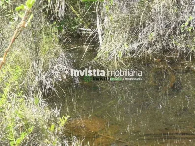 Fazenda / Sítio / Chácara à venda, 938m² no , Rio Sono