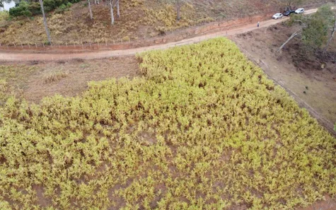 Terreno / Lote / Condomínio à venda, 20000m² no , Caeté