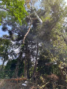 Terreno / Lote / Condomínio à venda, 1500m² no Estância Serrana, Nova Lima