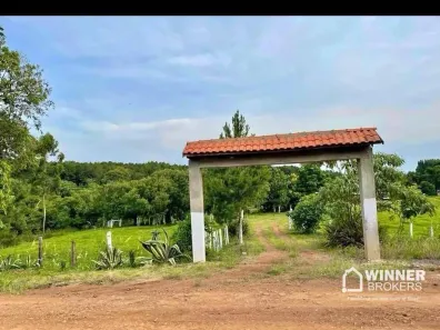 Fazenda / Sítio / Chácara com 4 Quartos à venda, 36300m² no , Guaraniaçu