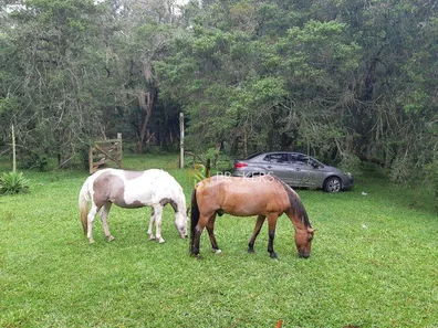 Fazenda / Sítio / Chácara à venda, 43700m² no Estação, Araucária