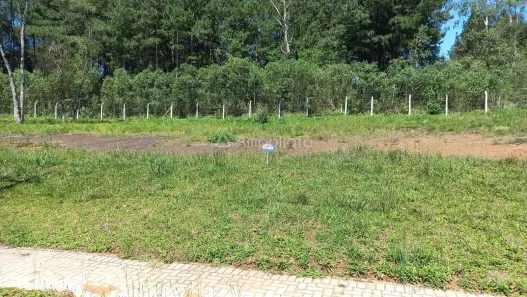 Terreno / Lote / Condomínio à venda, 384m² no Araçatuba, Campina Grande do Sul