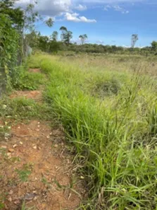 Terreno / Lote / Condomínio à venda, 20000m² no Park Way, Brasília