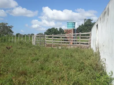 Fazenda / Sítio / Chácara com 3 Quartos à venda, 95000m² no , Vera Cruz