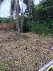 Terreno / Lote / Condomínio à venda, 264m² no Itacolomi, Balneário Piçarras