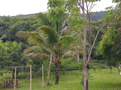 Fazenda / Sítio / Chácara com 3 Quartos à venda, 16945m² no Sampaio Correia (Sampaio Correia), Saquarema