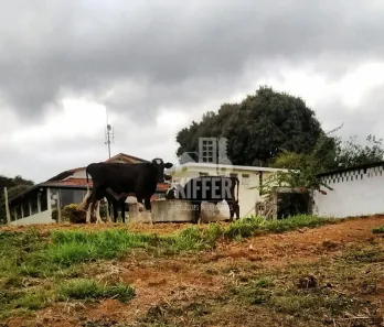 Fazenda / Sítio / Chácara com 4 Quartos à venda, 300m² no Rosa Machado, Piraí