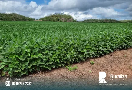 Fazenda / Sítio / Chácara à venda, 1621m² no , Santa Maria do Tocantins