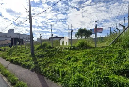 Terreno / Lote / Condomínio para alugar, 1200m² no Cruzeiro, São José dos Pinhais