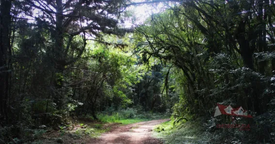 Fazenda / Sítio / Chácara à venda, 20600m² no Área Rural de Fazenda Rio Grande, Fazenda Rio Grande
