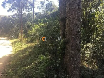 Fazenda / Sítio / Chácara com 1 Quarto à venda, 100m² no , Contenda