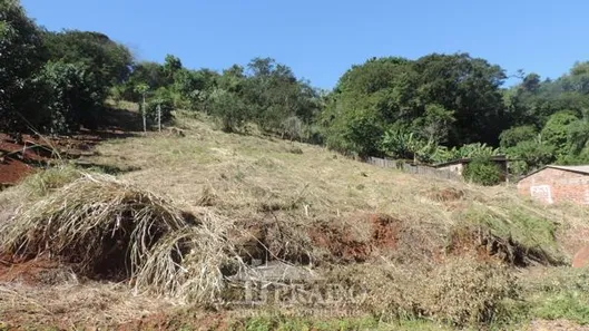 Fazenda / Sítio / Chácara à venda, 2450m² no Condomínio Horizontal Marajoara, Ibiporã