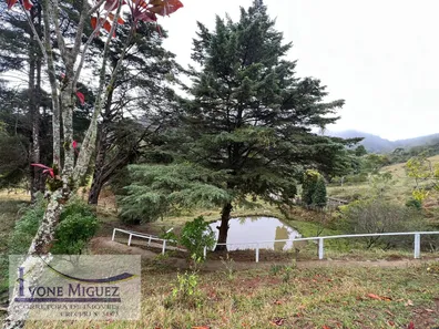 Fazenda / Sítio / Chácara com 3 Quartos à venda, 200m² no Palmares, Paty do Alferes