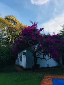Fazenda / Sítio / Chácara com 3 Quartos à venda, 220m² no Recanto dos Pinheiros, Cambé
