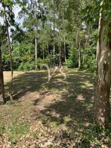 Terreno / Lote / Condomínio à venda, 505m² no Tucuruvi, São Paulo