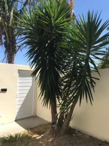 Casa com 3 Quartos à venda, 90m² no Pontinha, Araruama