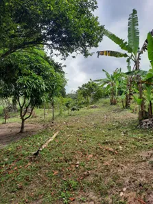 Fazenda / Sítio / Chácara à venda, 9400m² no , Pedras de Fogo
