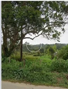 Terreno / Lote / Condomínio à venda, 54330m² no Centro, Embu-Guaçu
