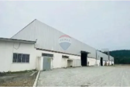 Galpão / Depósito / Armazém para alugar, 450m² no Rio Pequeno, Camboriú