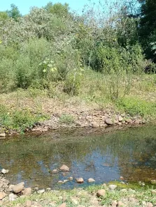 Fazenda / Sítio / Chácara à venda, 6640m² no Arroio Grande, Santa Maria