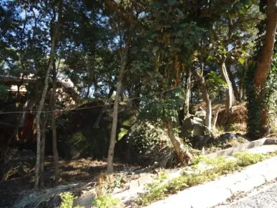 Terreno / Lote / Condomínio à venda, 330m² no Tucuruvi, São Paulo