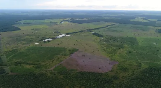 Fazenda / Sítio / Chácara à venda, 1388m² no Setor Central, Lagoa da Confusão