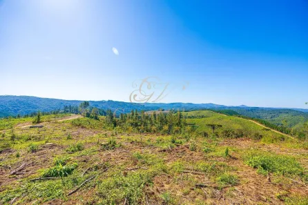 Fazenda / Sítio / Chácara com 1 Quarto à venda, 2693786m² no Centro, Campo Largo