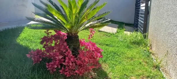 Casa com 2 Quartos à venda, 85m² no Itaqui, Campo Largo