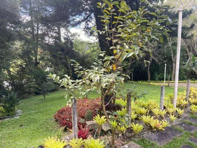 Fazenda / Sítio / Chácara com 3 Quartos à venda, 89m² no Campo do Coelho, Nova Friburgo