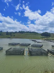 Fazenda / Sítio / Chácara com 4 Quartos à venda, 57000m² no , Brejinho