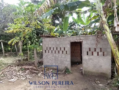 Fazenda / Sítio / Chácara com 3 Quartos à venda, 2000m² no , Bananeiras