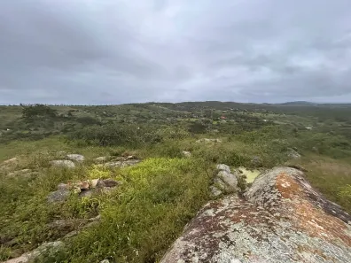 Fazenda / Sítio / Chácara à venda, 7200m² no , Sairé