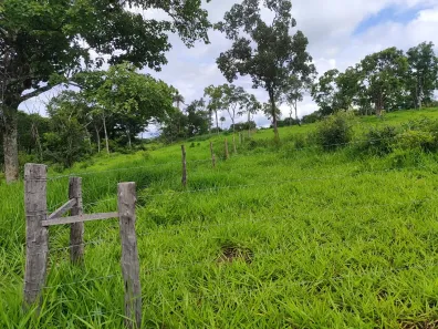 Fazenda / Sítio / Chácara com 3 Quartos à venda, 363000m² no Bezerra, Formosa