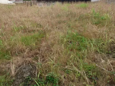 Terreno / Lote / Condomínio à venda, 800m² no Centro, Cubatão