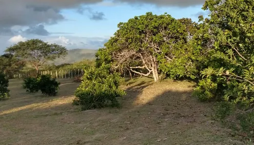 Fazenda / Sítio / Chácara à venda, 23500m² no Alpes Suiços, Gravatá