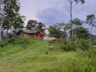 Fazenda / Sítio / Chácara com 2 Quartos à venda, 40000m² no , Antonina