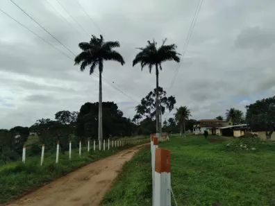 Fazenda / Sítio / Chácara com 4 Quartos à venda, 150000m² no Matriz, Vitória de Santo Antão