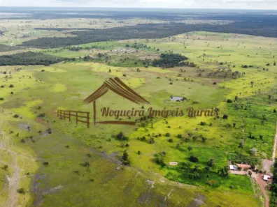 Fazenda / Sítio / Chácara à venda, 1m² no , Formoso do Araguaia