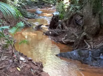 Fazenda / Sítio / Chácara à venda, 20000m² no Setor de Habitações Individuais Sul, Brasília