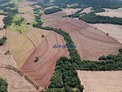 Fazenda / Sítio / Chácara à venda, 452540m² no , Sertanópolis