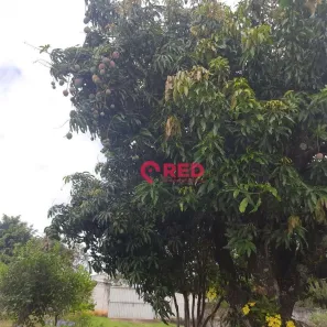 Fazenda / Sítio / Chácara com 2 Quartos à venda, 126m² no Parque Monte Bianco, Araçoiaba da Serra