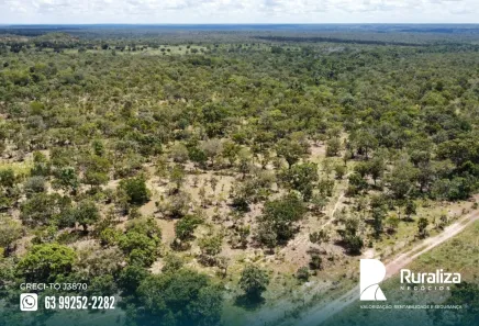 Fazenda / Sítio / Chácara à venda, 290m² no , Pium