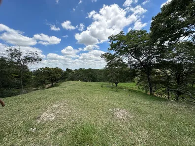 Fazenda / Sítio / Chácara com 4 Quartos à venda, 130000m² no Centro, Florestal