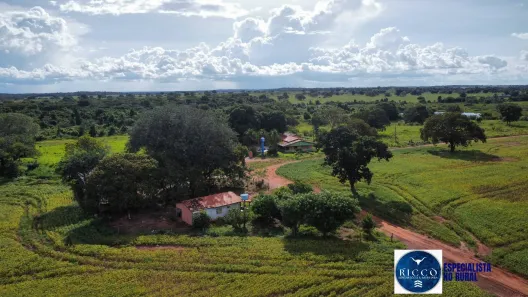 Terreno / Lote / Condomínio à venda, 1243m² no Setor Central, Formoso do Araguaia