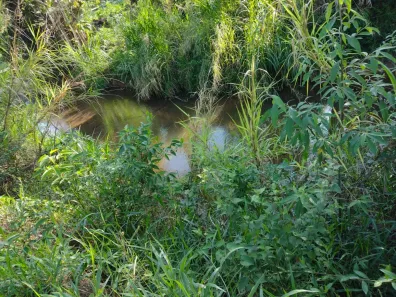 Fazenda / Sítio / Chácara com 2 Quartos à venda, 2000m² no Nossa Senhora do Amparo, Barra Mansa