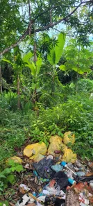 Fazenda / Sítio / Chácara com 3 Quartos à venda, 100m² no , Itapecuru Mirim
