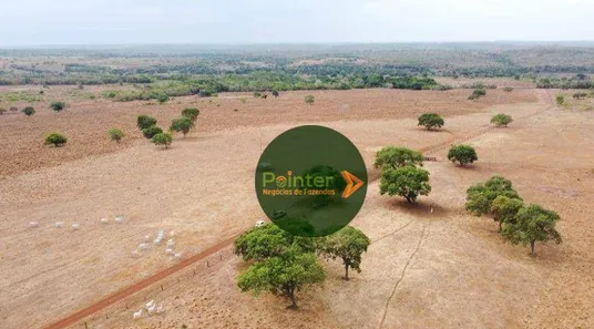 Fazenda / Sítio / Chácara à venda, 19166400m² no , Lagoa da Confusão