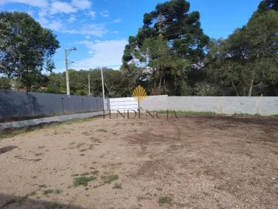 Fazenda / Sítio / Chácara com 2 Quartos à venda, 2750m² no lagoinha, Tijucas do Sul