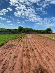 Terreno / Lote / Condomínio à venda, 1636m² no Floraí, Floraí